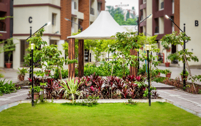 Amenity 11